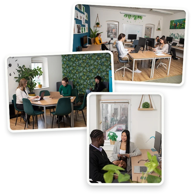 Jungle Coworking Szegeden