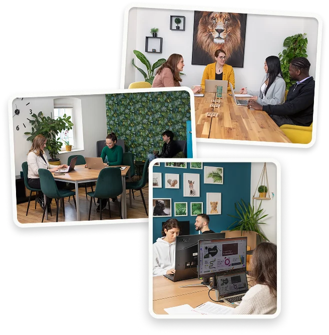 Jungle Coworking kapcsolati képek