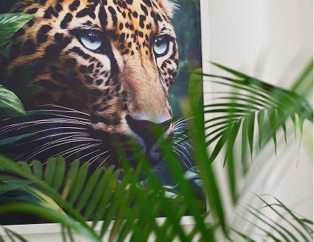 Jungle-ben poszter