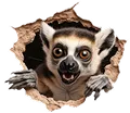 Lemur